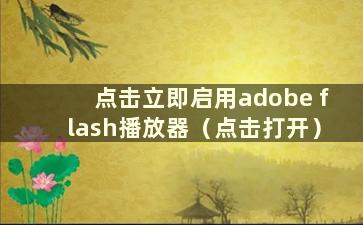 点击立即启用adobe flash播放器（点击打开）